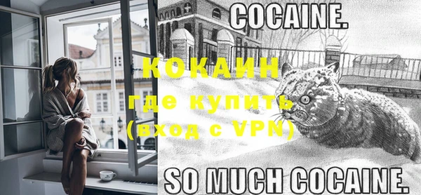 ПСИЛОЦИБИНОВЫЕ ГРИБЫ Магас