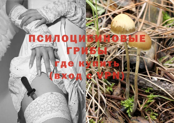 ПСИЛОЦИБИНОВЫЕ ГРИБЫ Магас