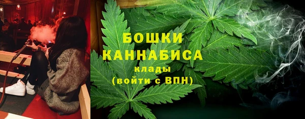 ПСИЛОЦИБИНОВЫЕ ГРИБЫ Магас