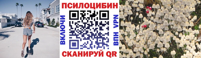 Галлюциногенные грибы мицелий  Королёв 
